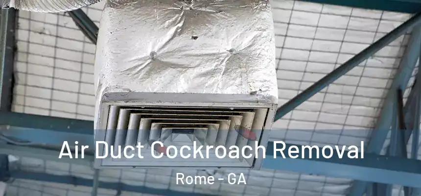  Air Duct Cockroach Removal Rome - GA