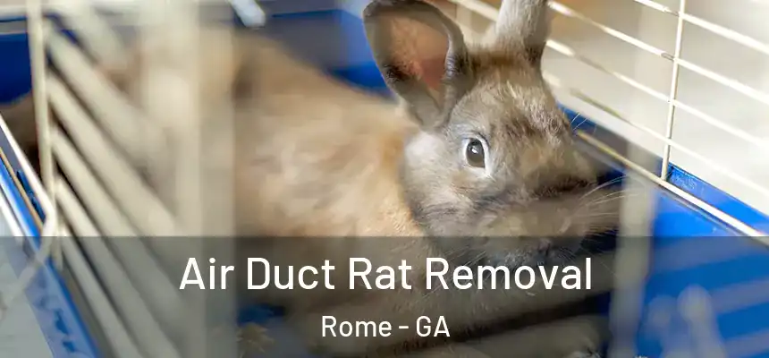  Air Duct Rat Removal Rome - GA