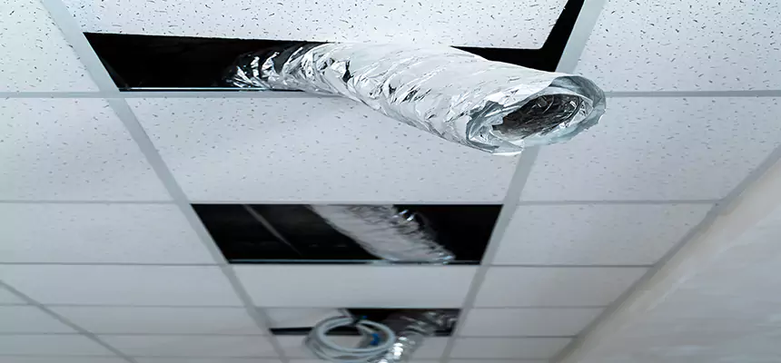 Our Air Duct Pet Hair Removal Services in Rome, GA