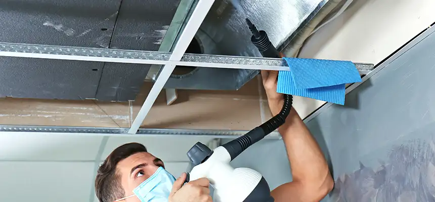 Our Air Duct Rodent Removal Services in Rome, GA