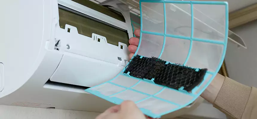 Gentle Ductwork Odor-Control Pet Dander Duct Cleaning in Rome, GA