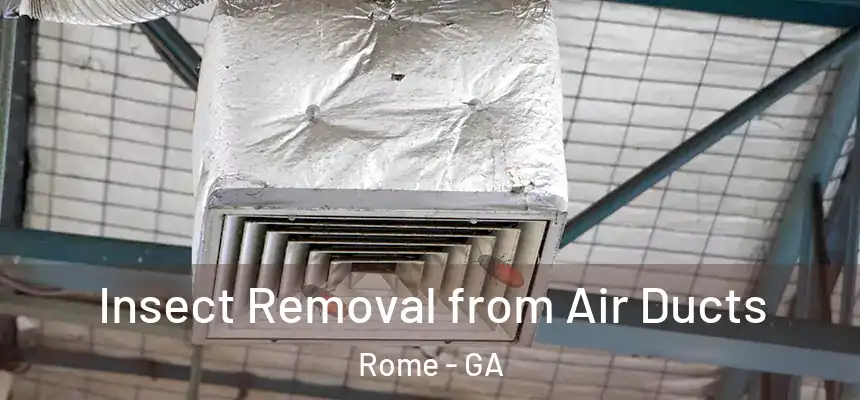  Insect Removal from Air Ducts Rome - GA