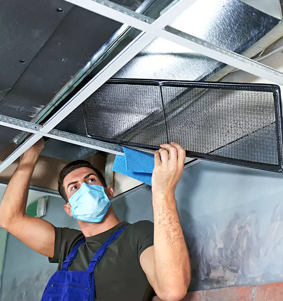 Professional Air Duct Pollen Cleaning in Rome, GA