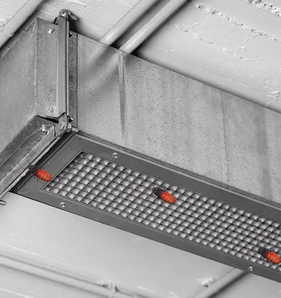 Affordable Insect Removal from Air Ducts in Rome, GA