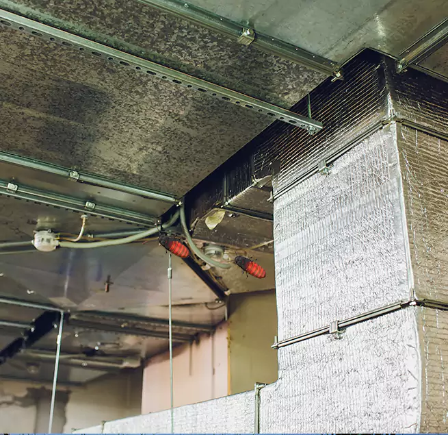 Why Homeowners & Businesses Trust Us in Rome, GA?