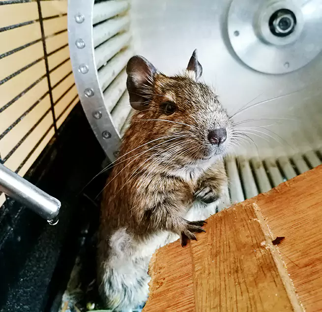 Why Homeowners & Businesses Trust Us Rome, GA?